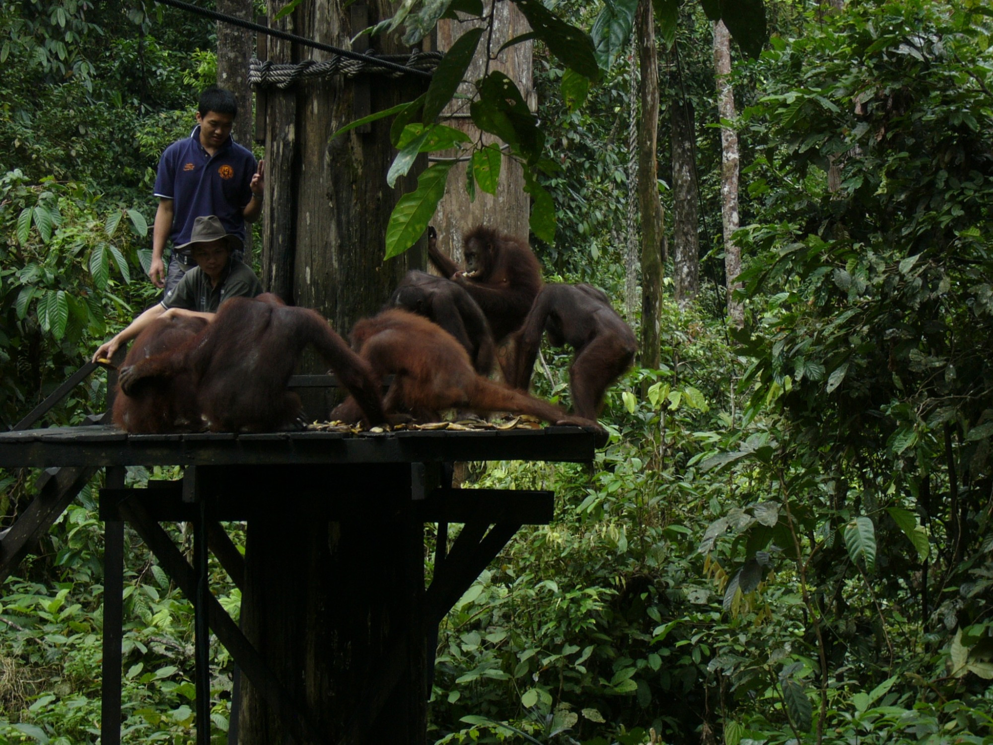 Malaysia