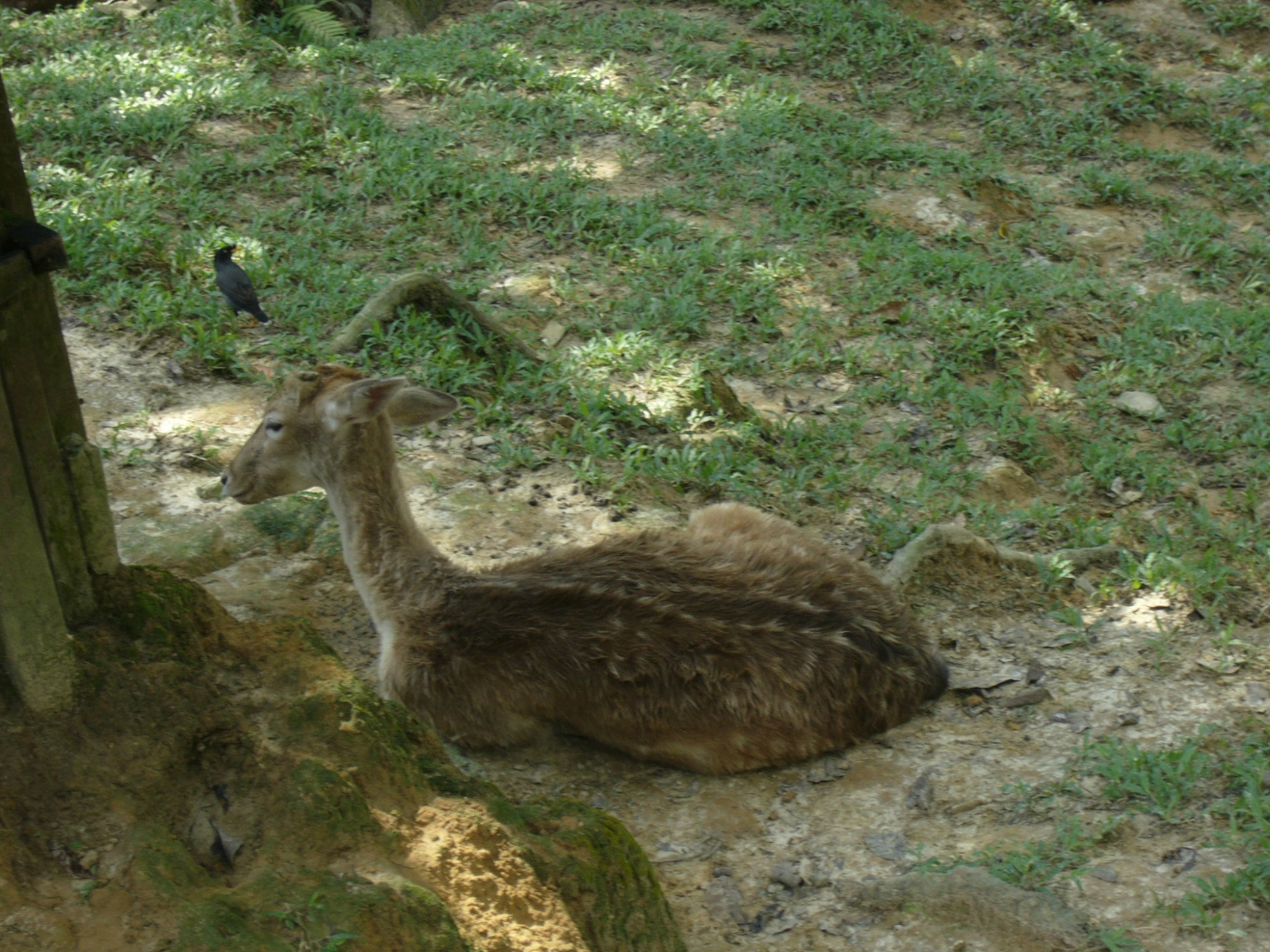 Malaysia