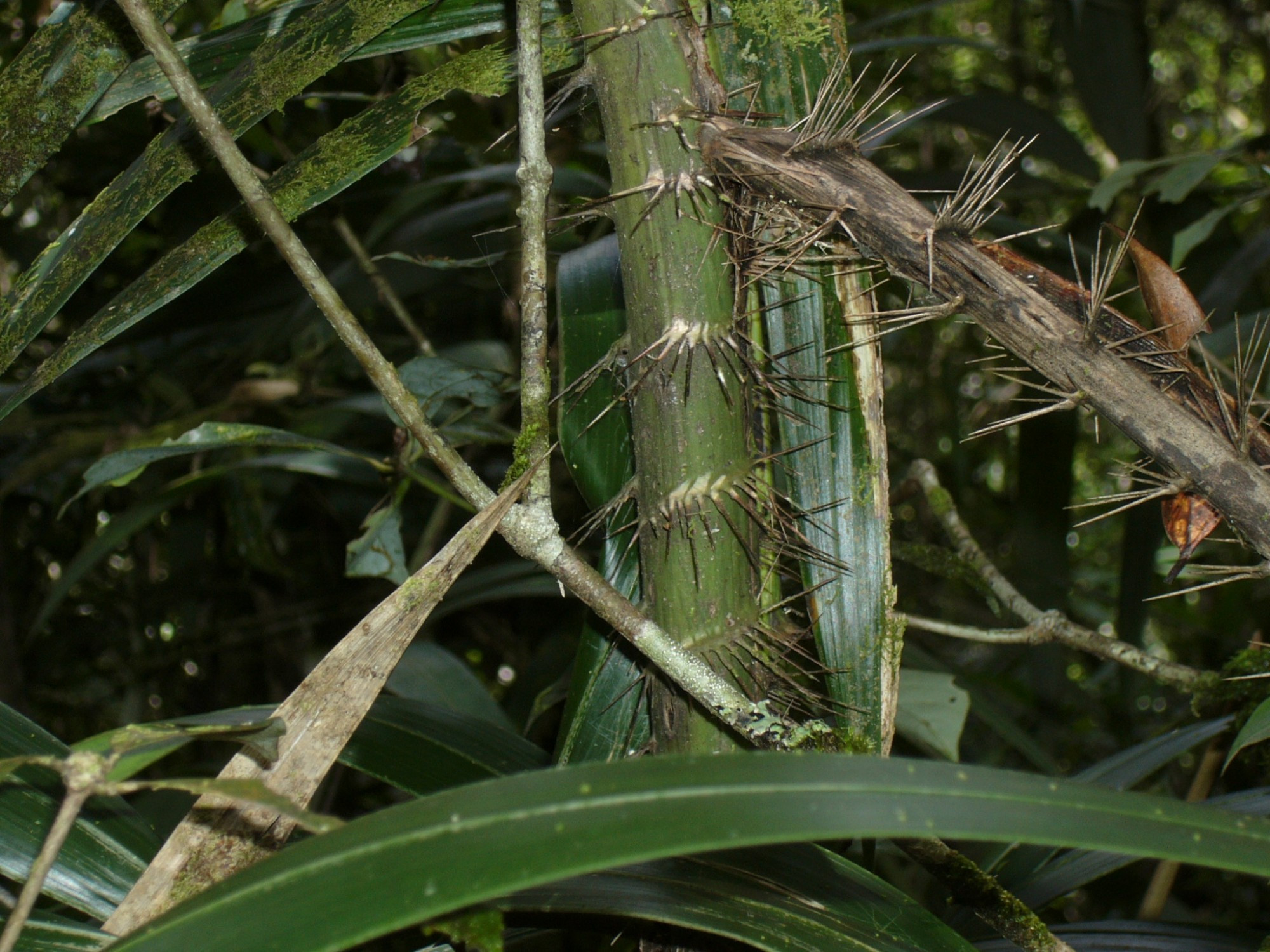 Malaysia