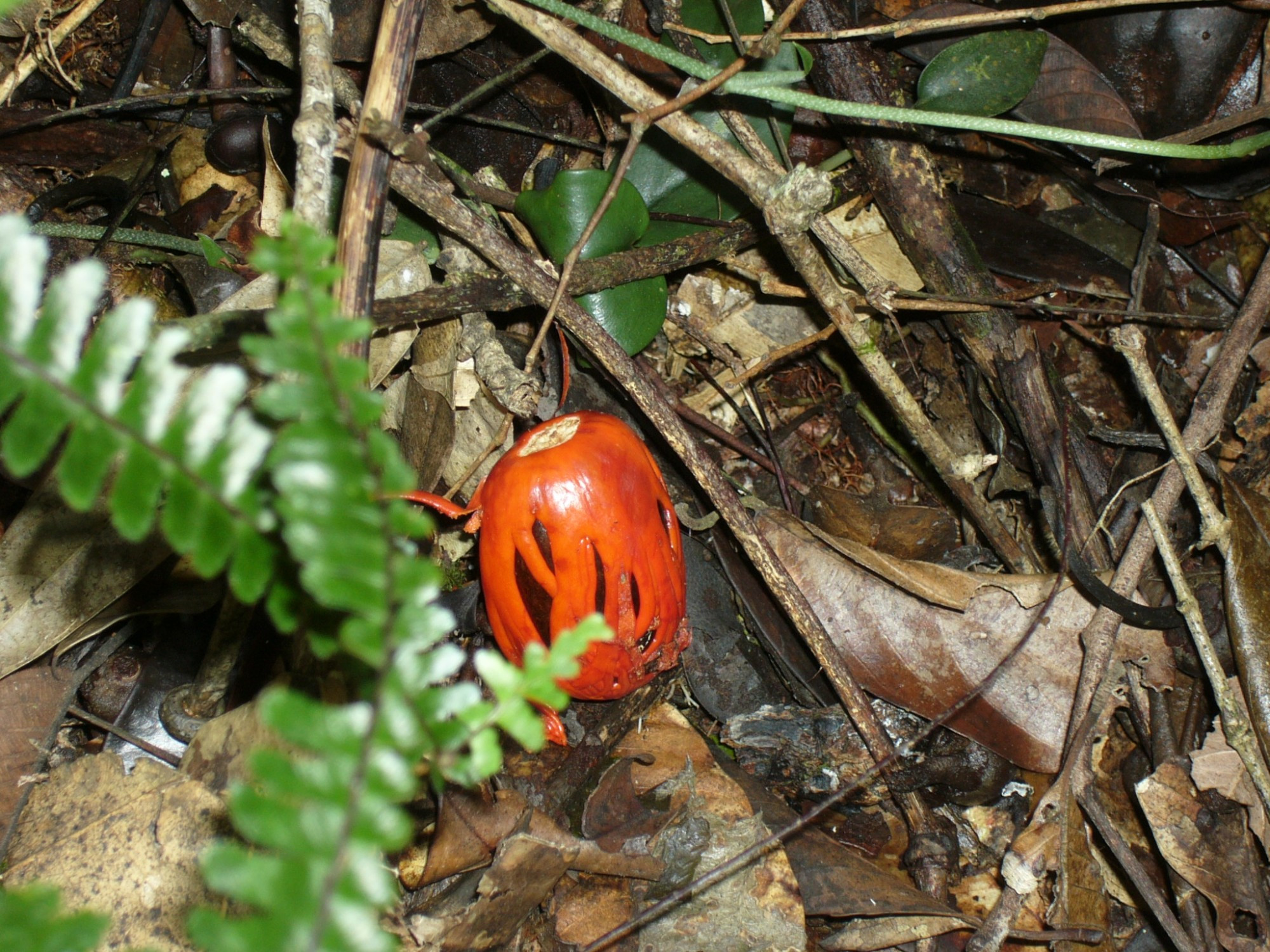 Malaysia