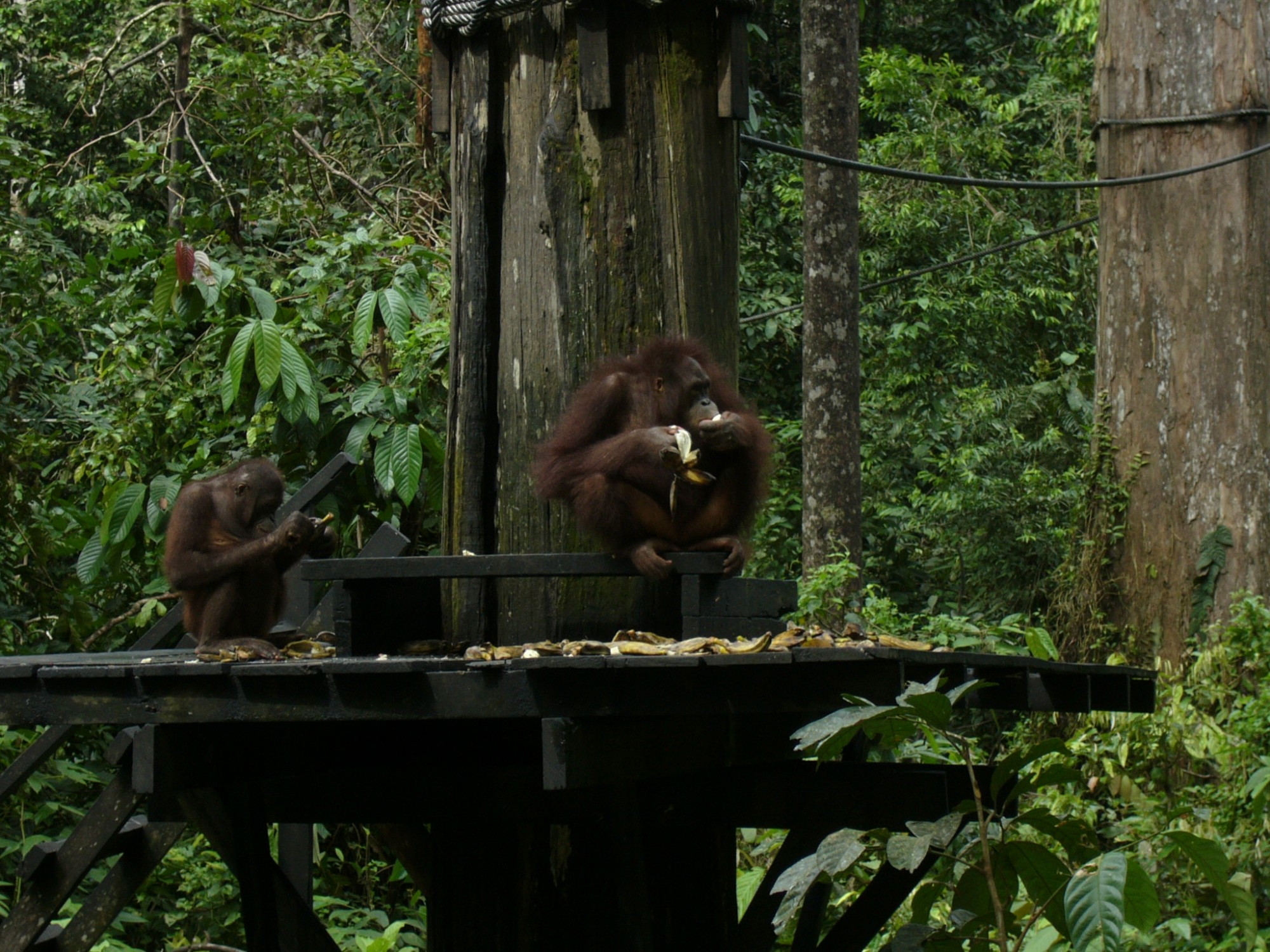 Malaysia