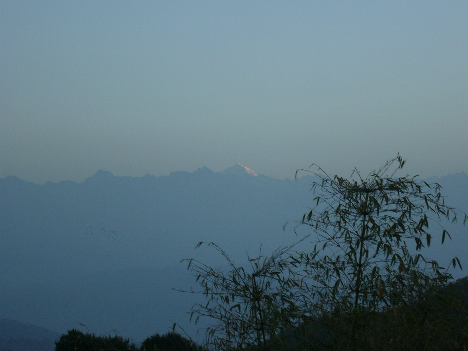 Nepal