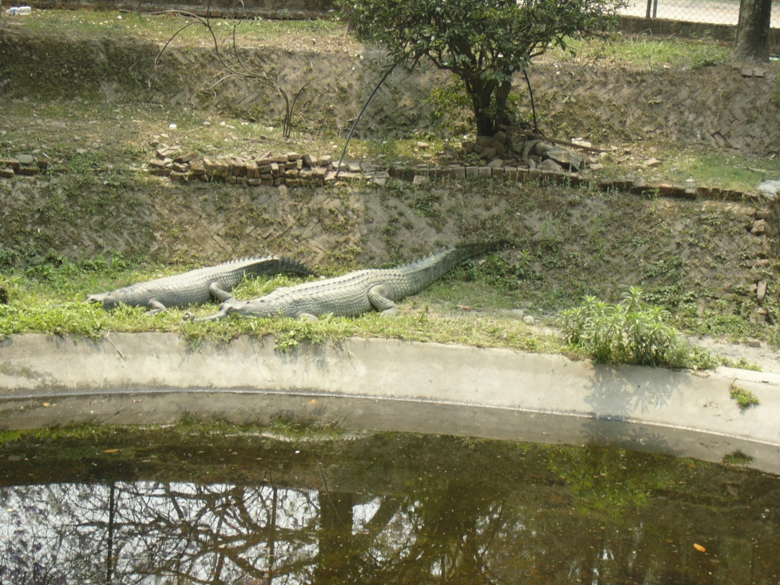 Nepal