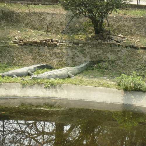 Nepal