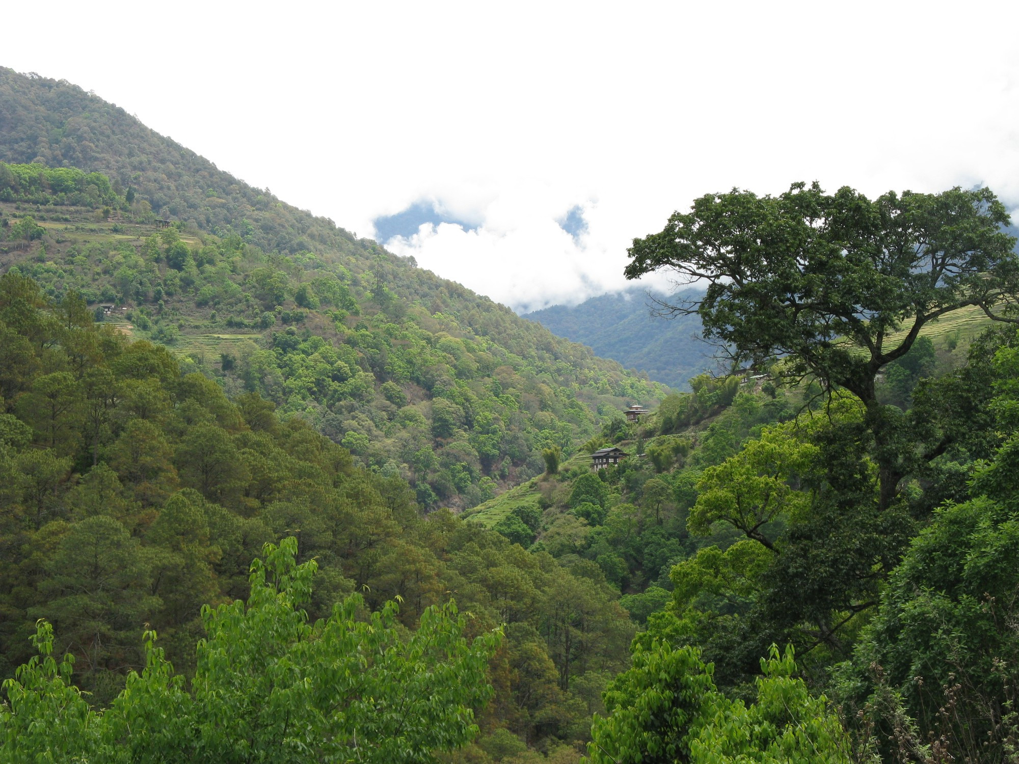 Bhutan