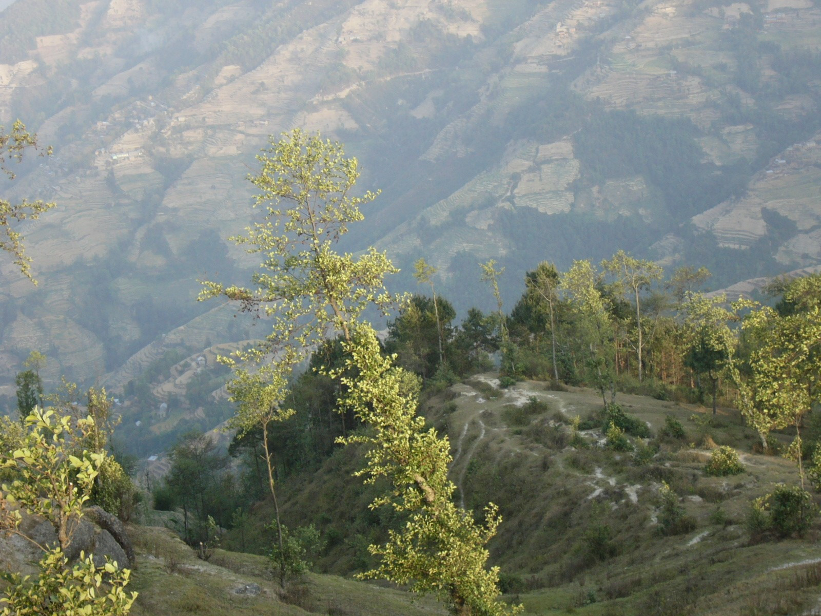 Nepal