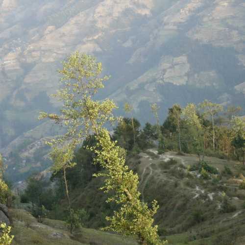 Nepal