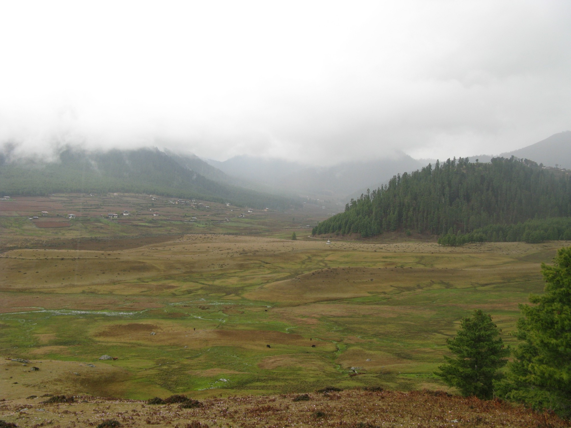 Bhutan