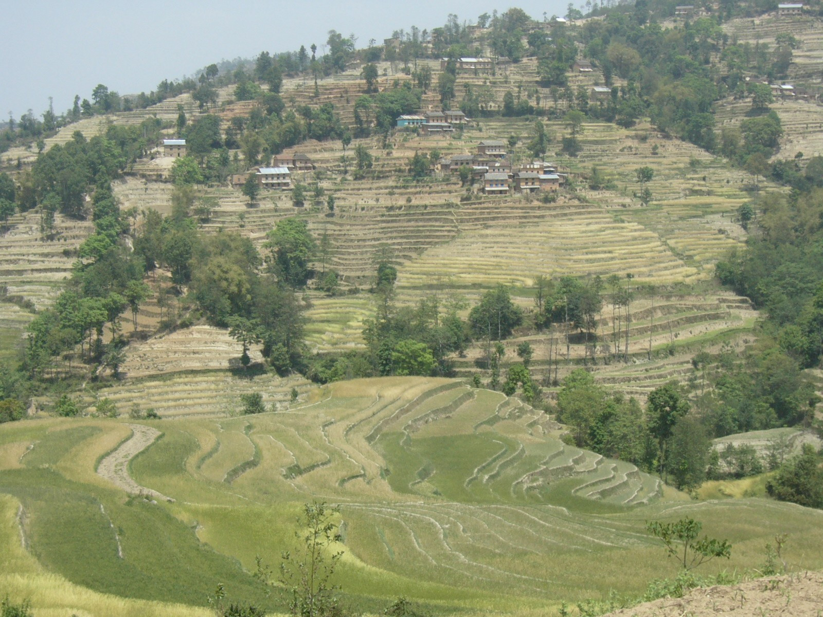 Nepal