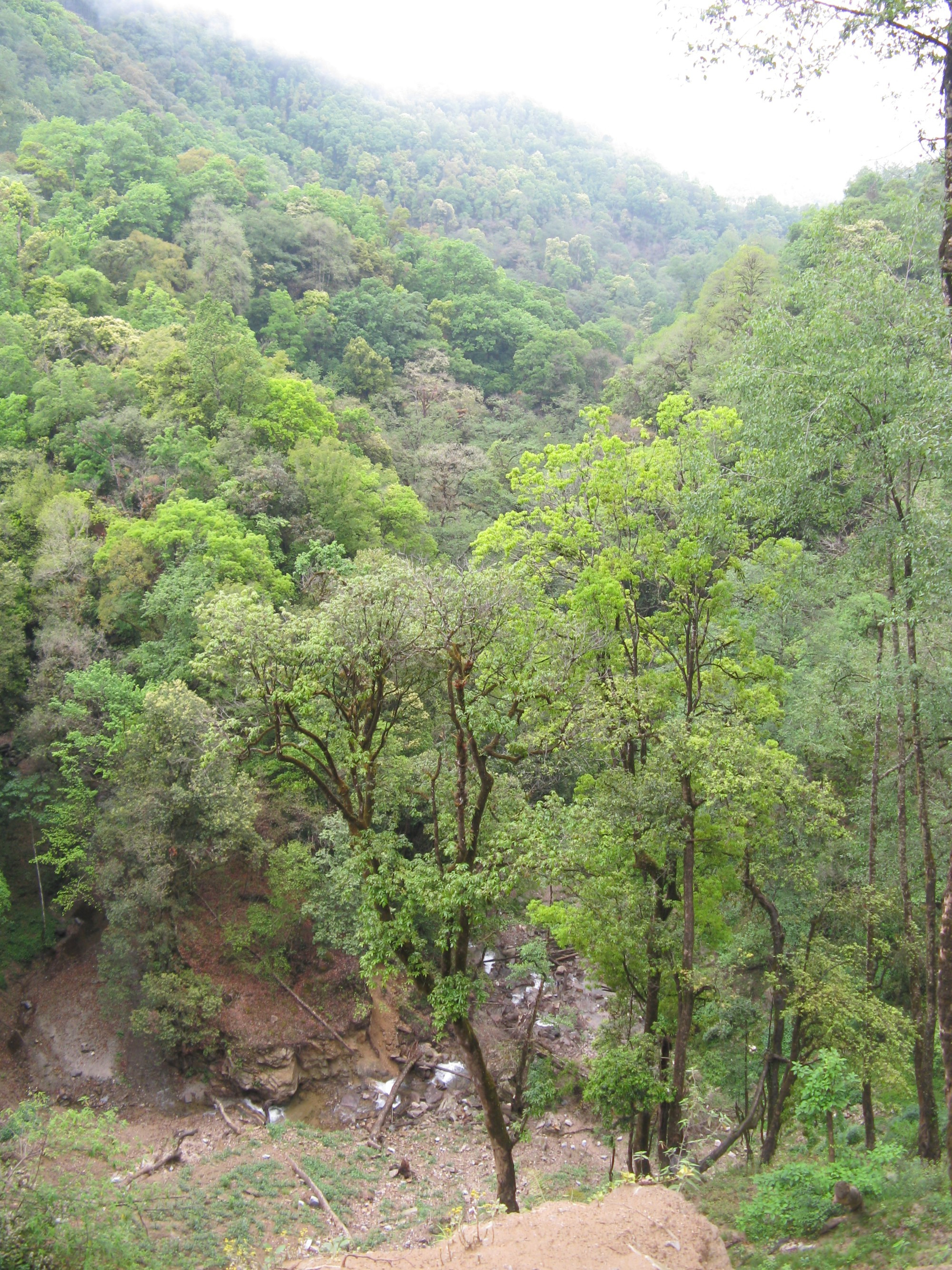 Bhutan