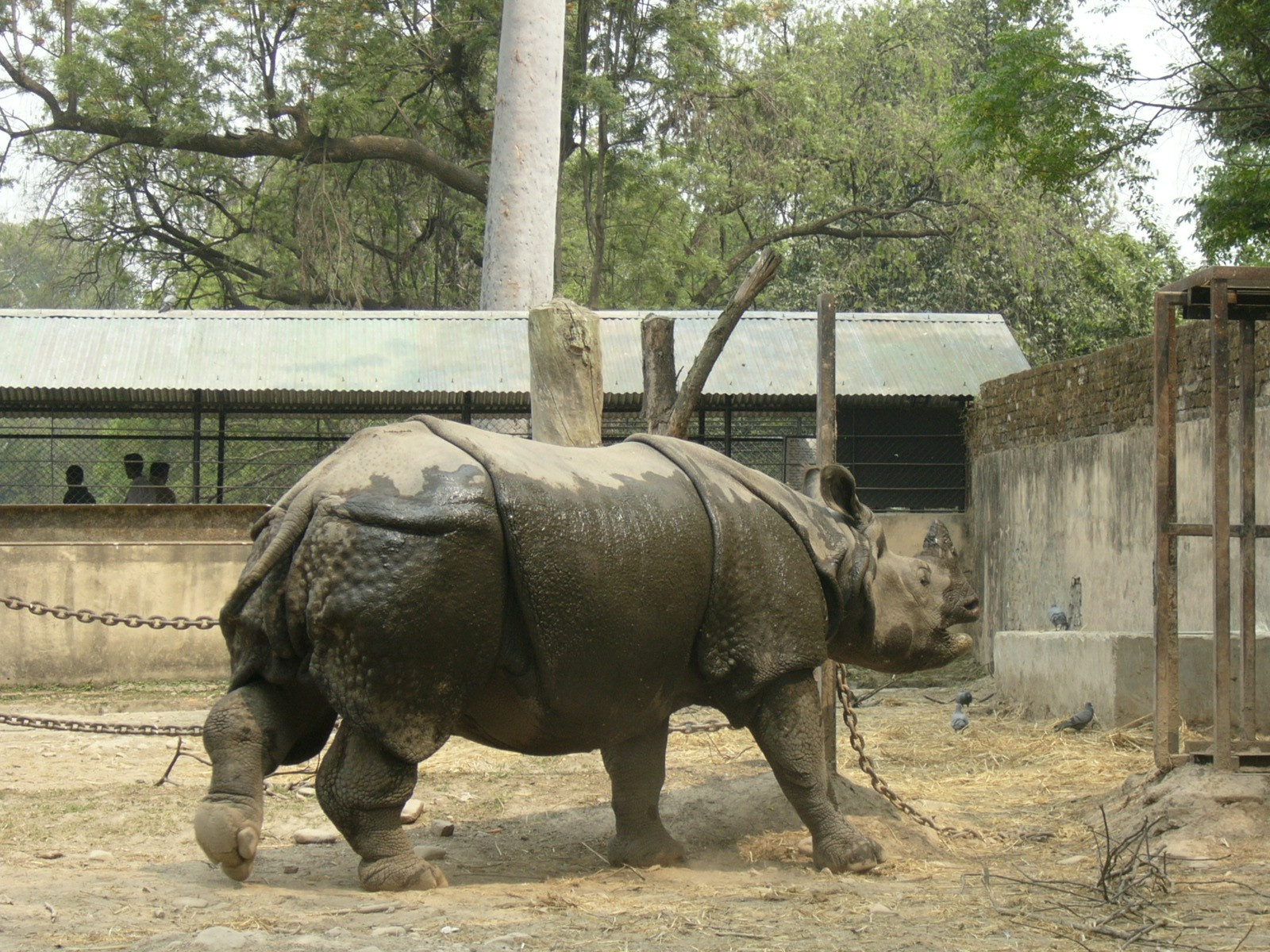 Nepal