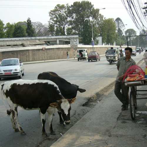 Nepal