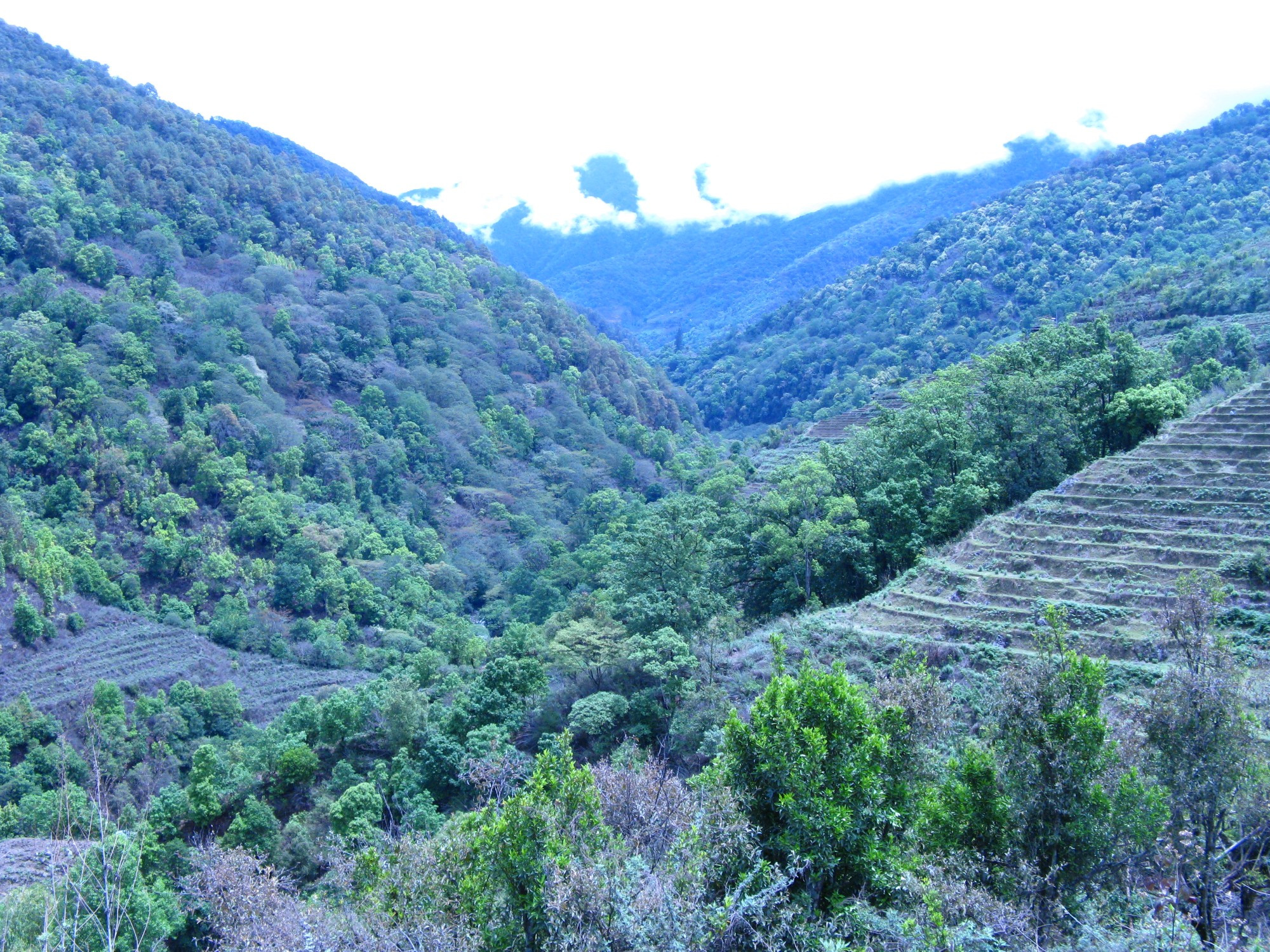 Bhutan