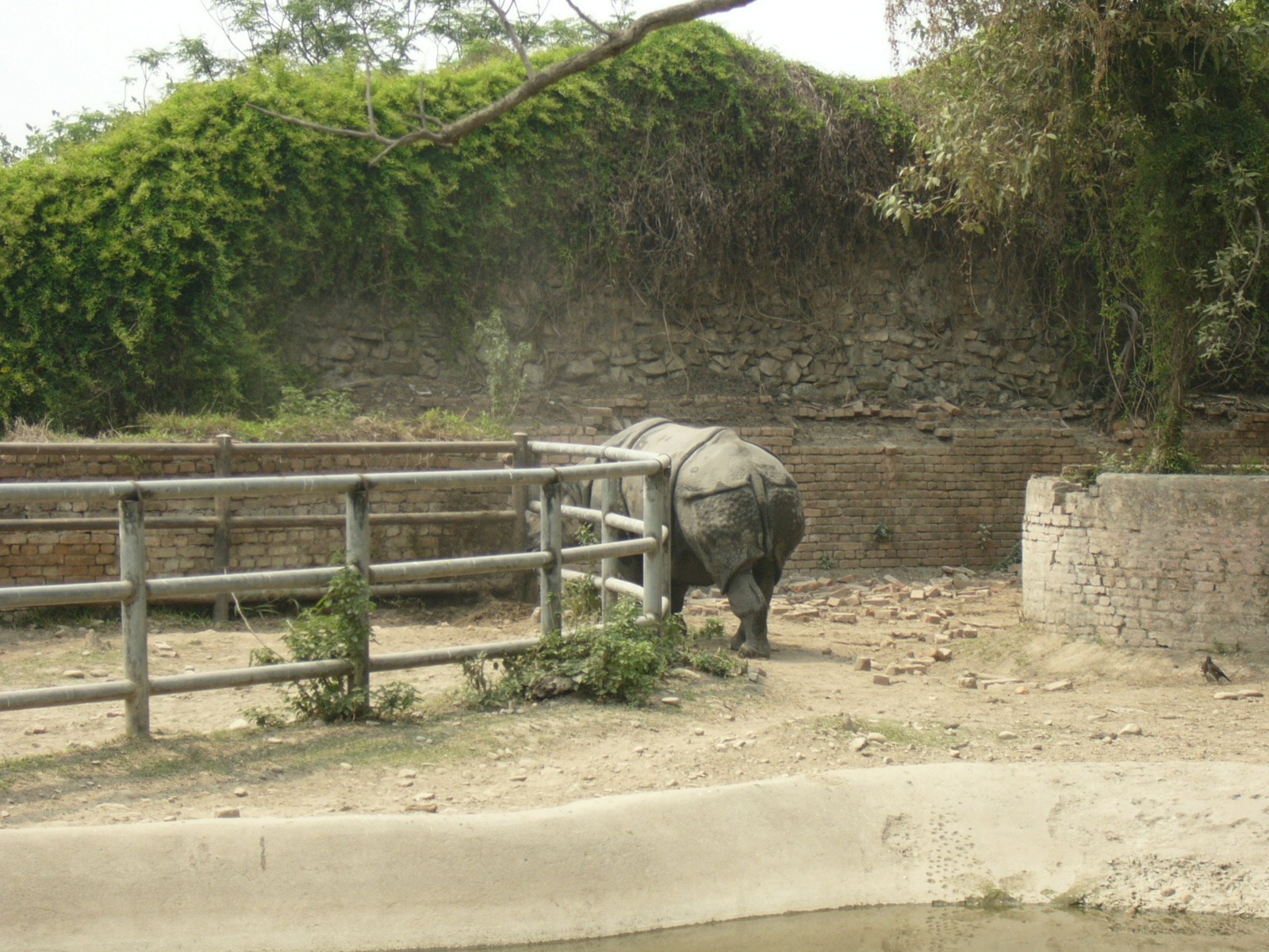 Nepal