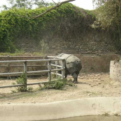 Nepal