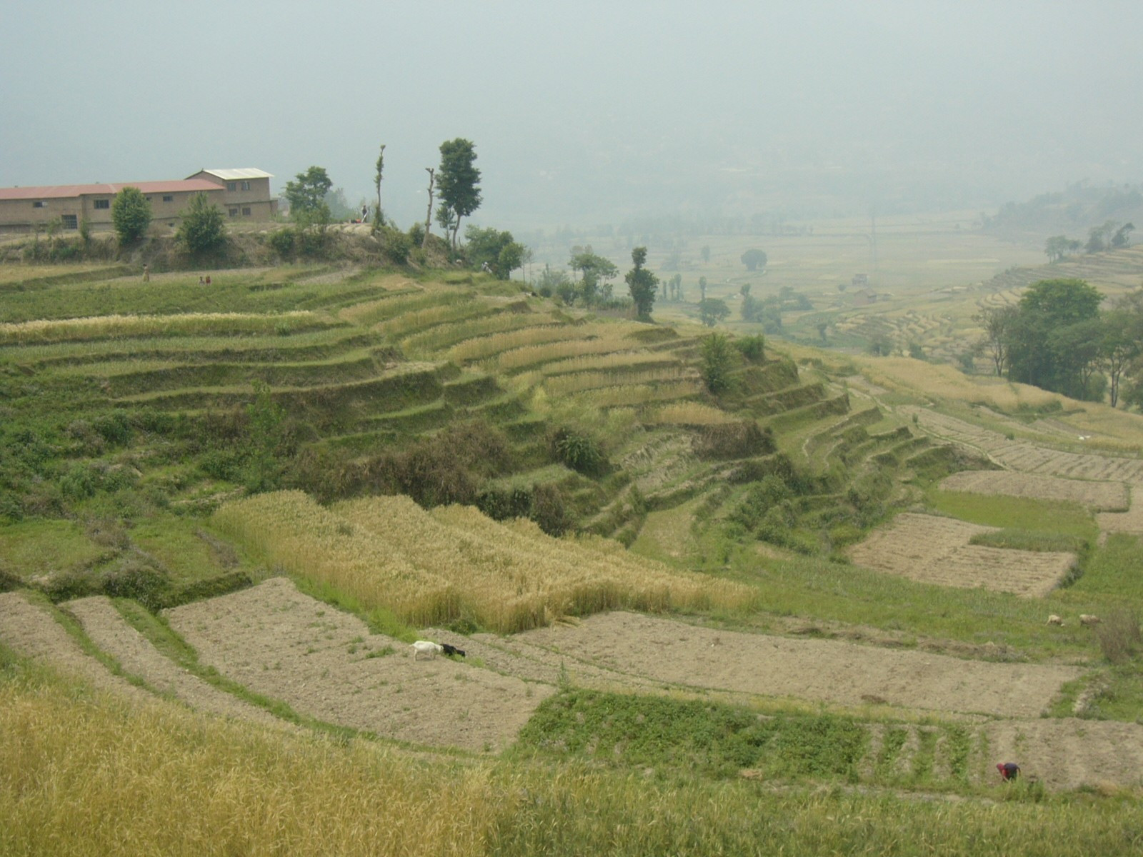 Nepal