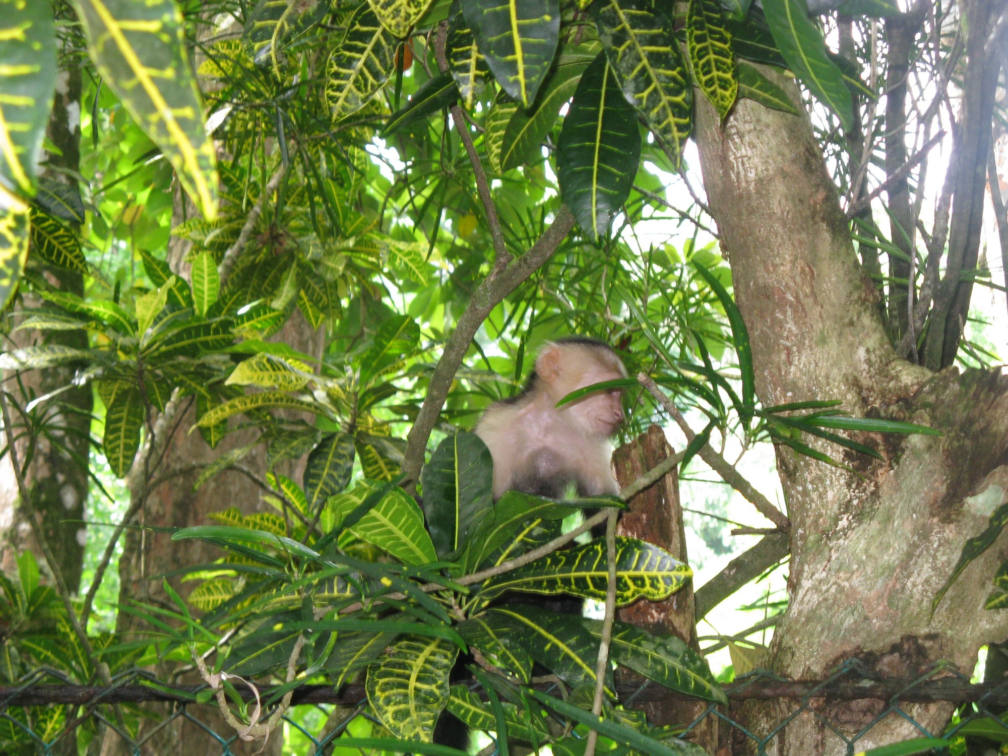 Costa Rica