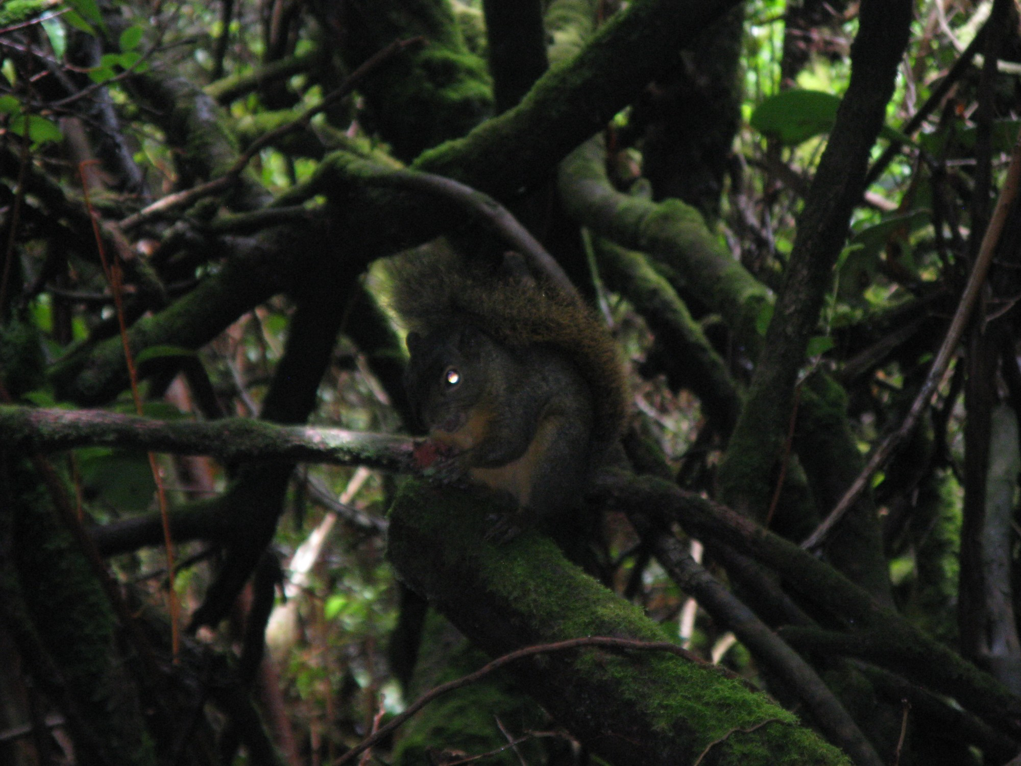 Costa Rica