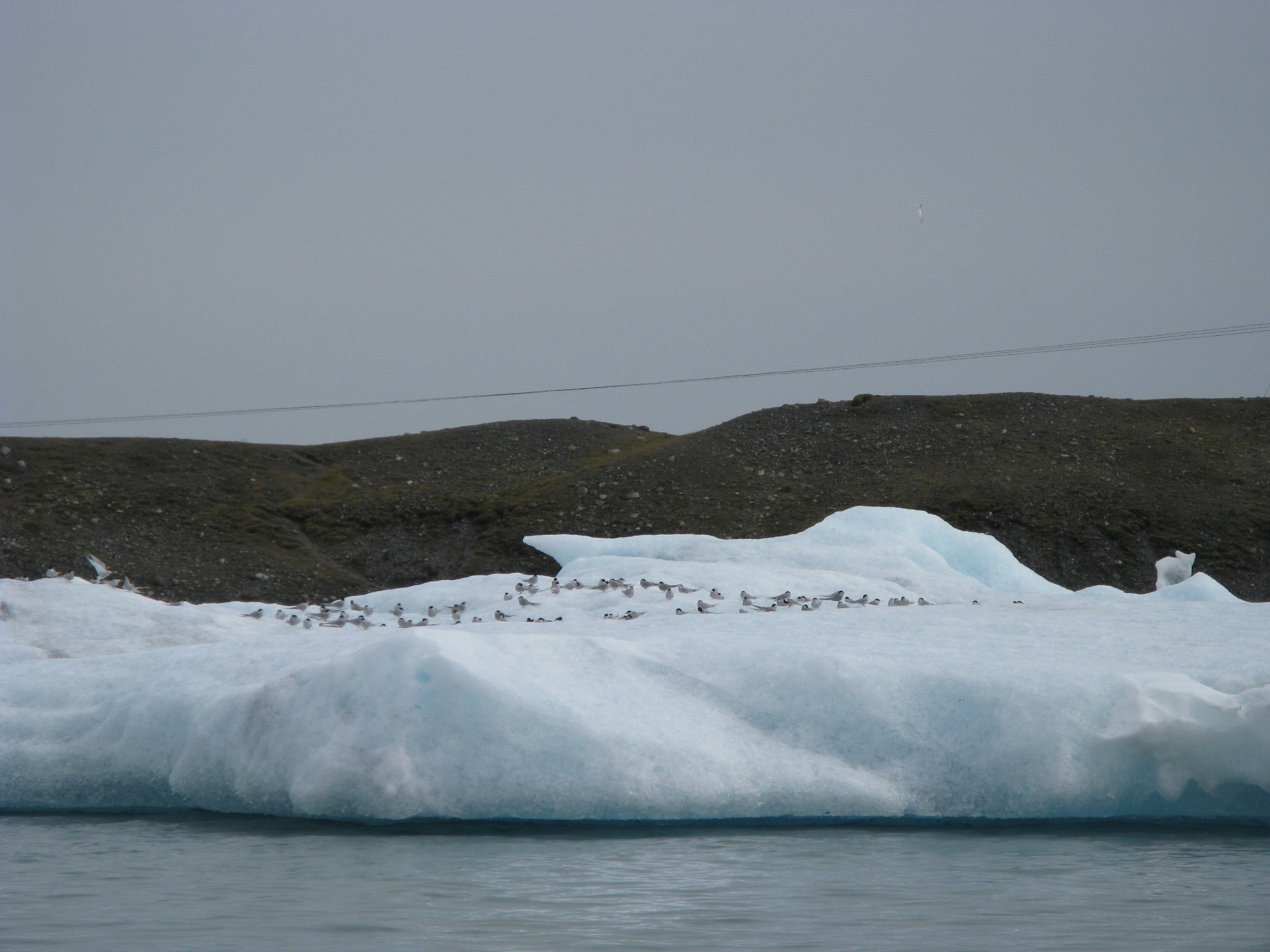 Iceland