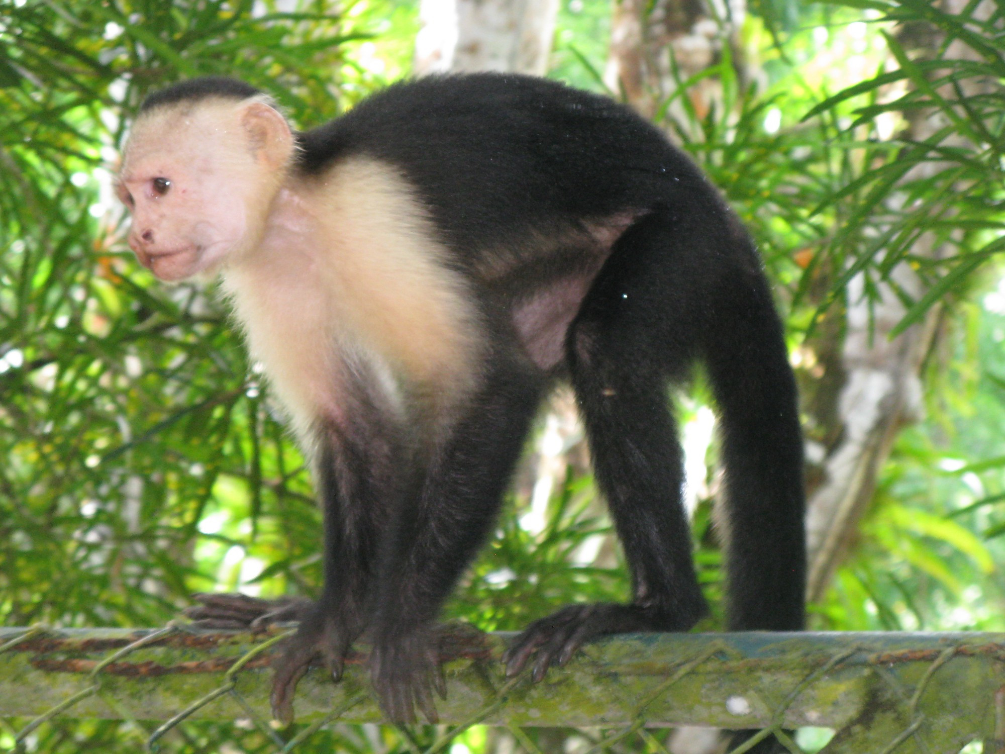 Costa Rica