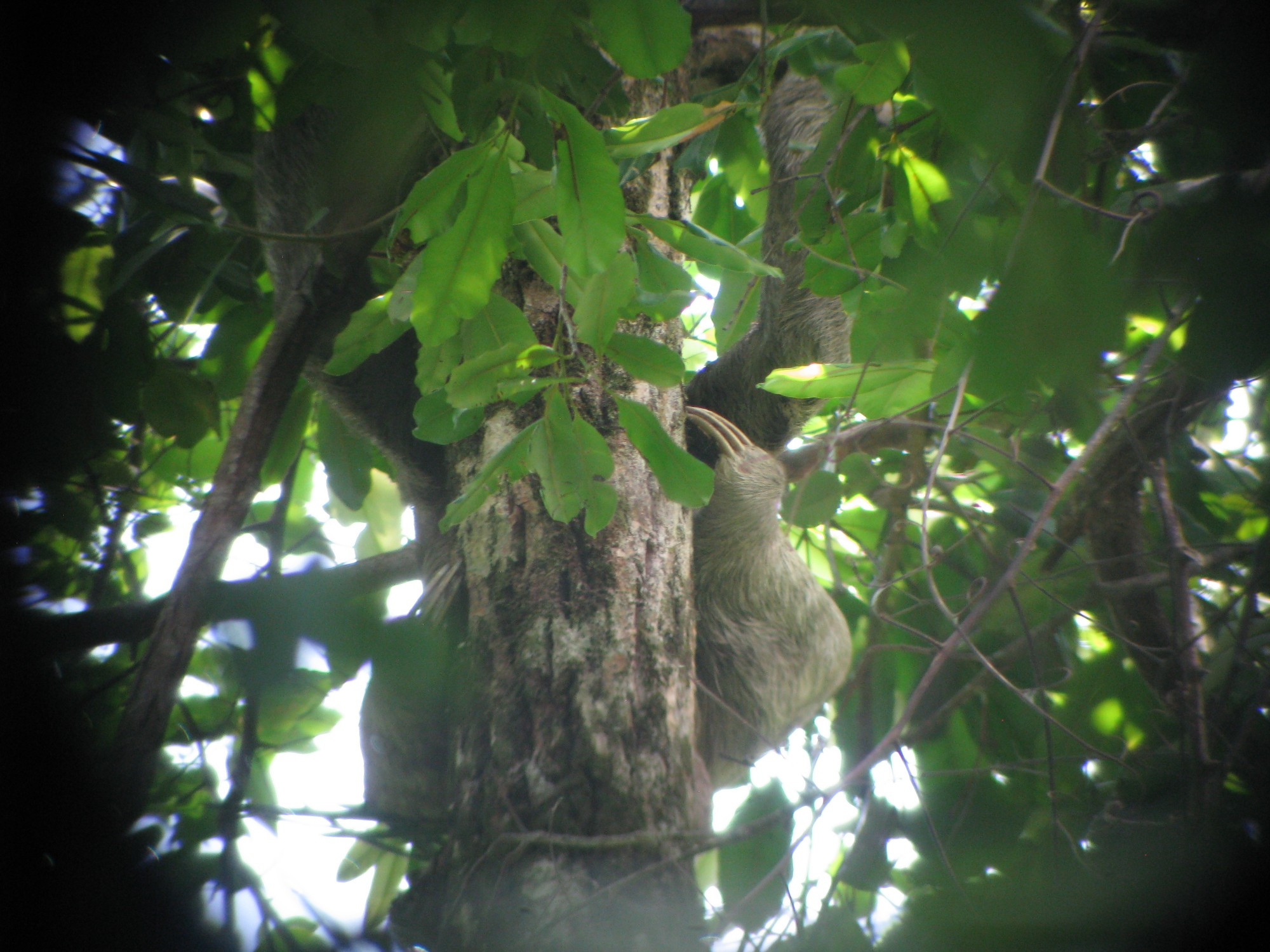 Costa Rica