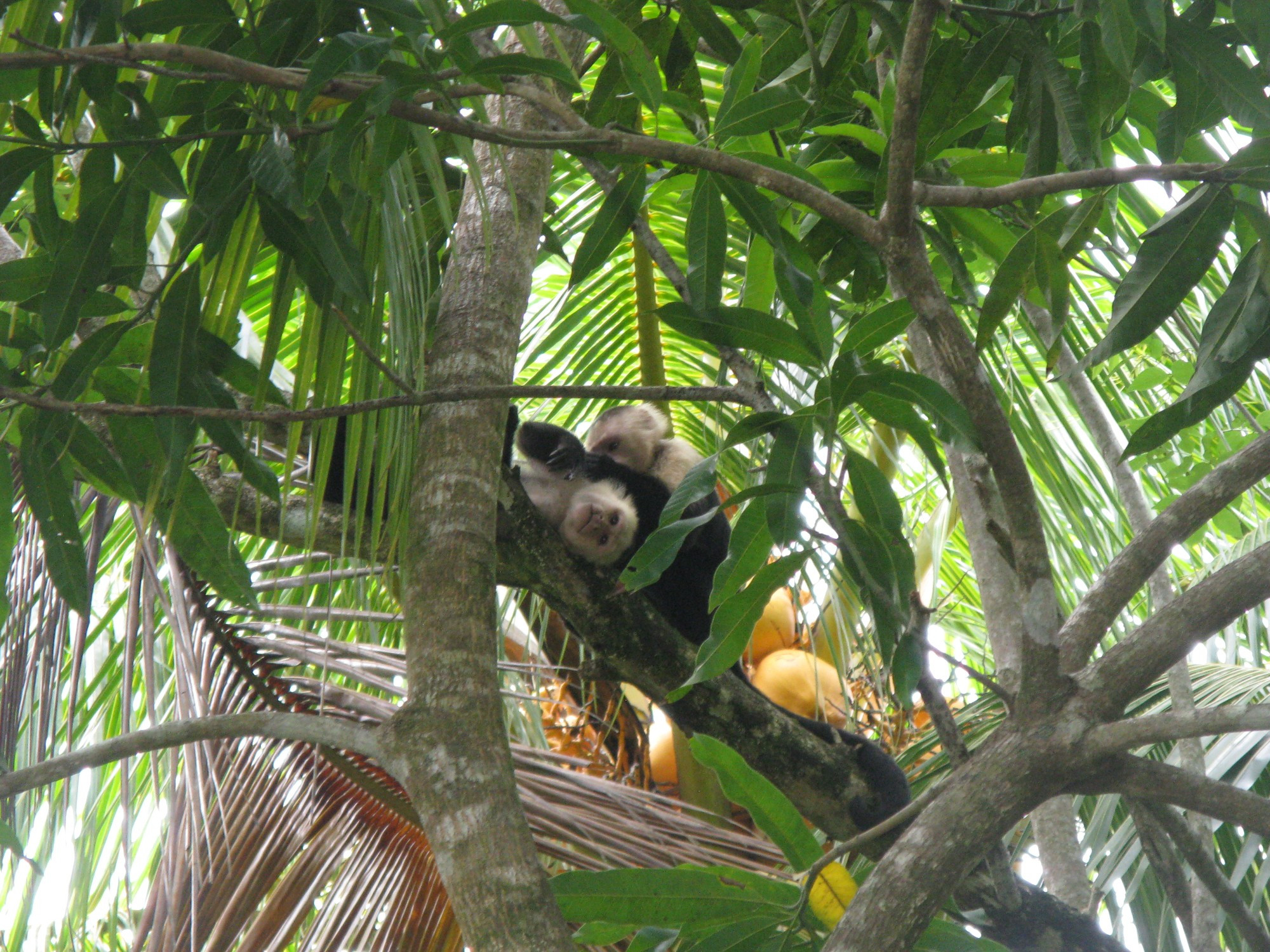 Costa Rica