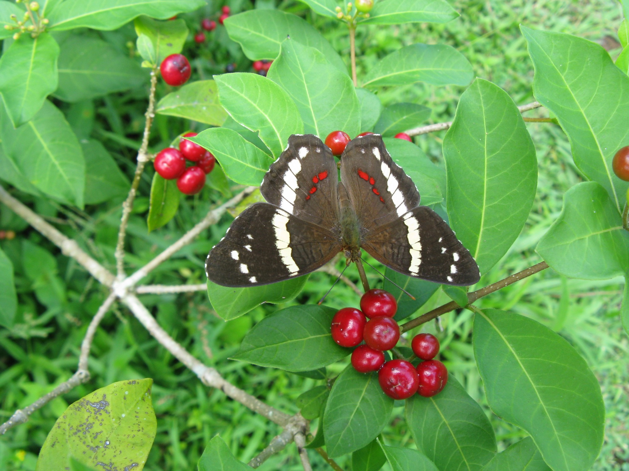 Costa Rica