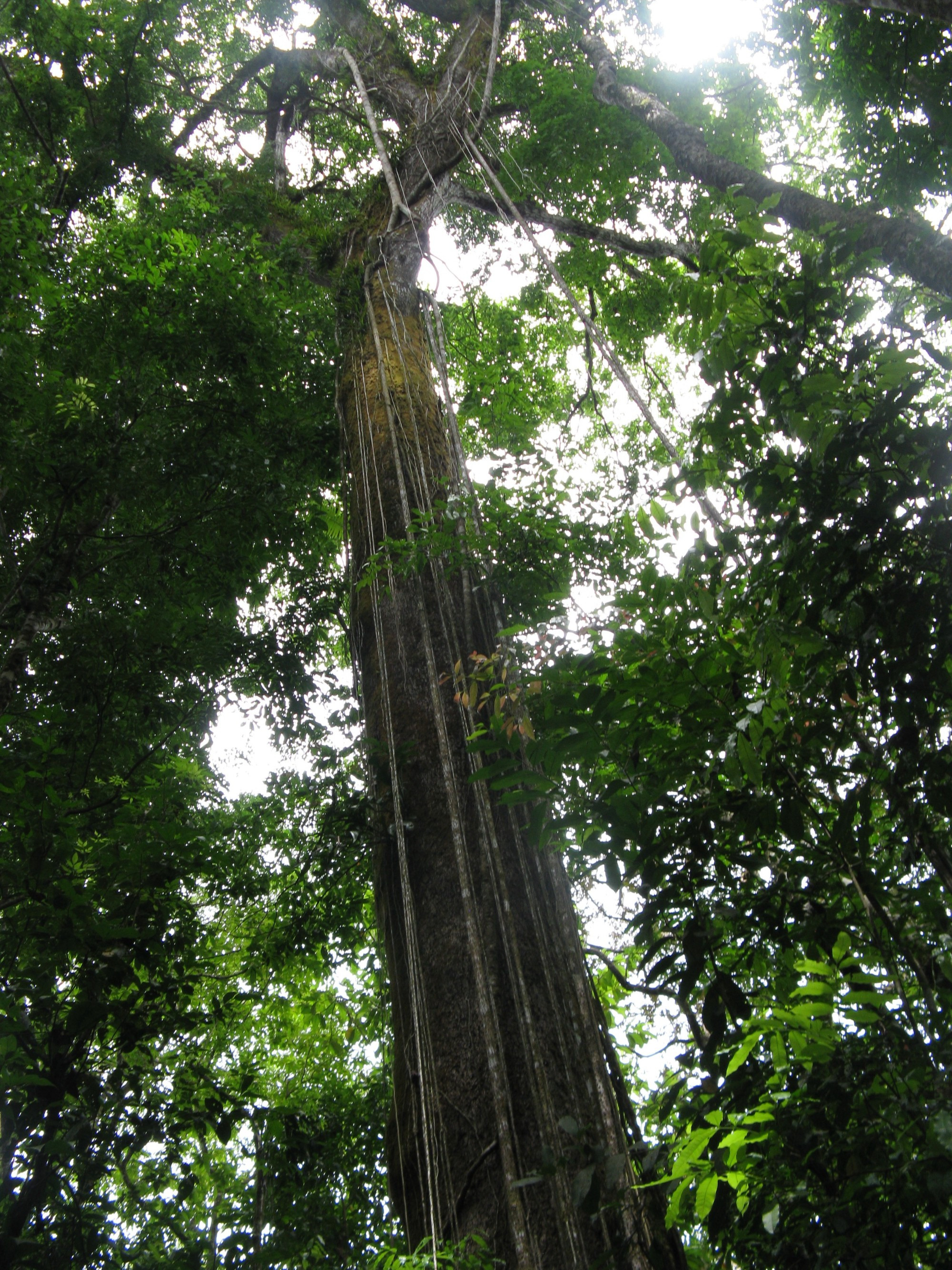 Costa Rica