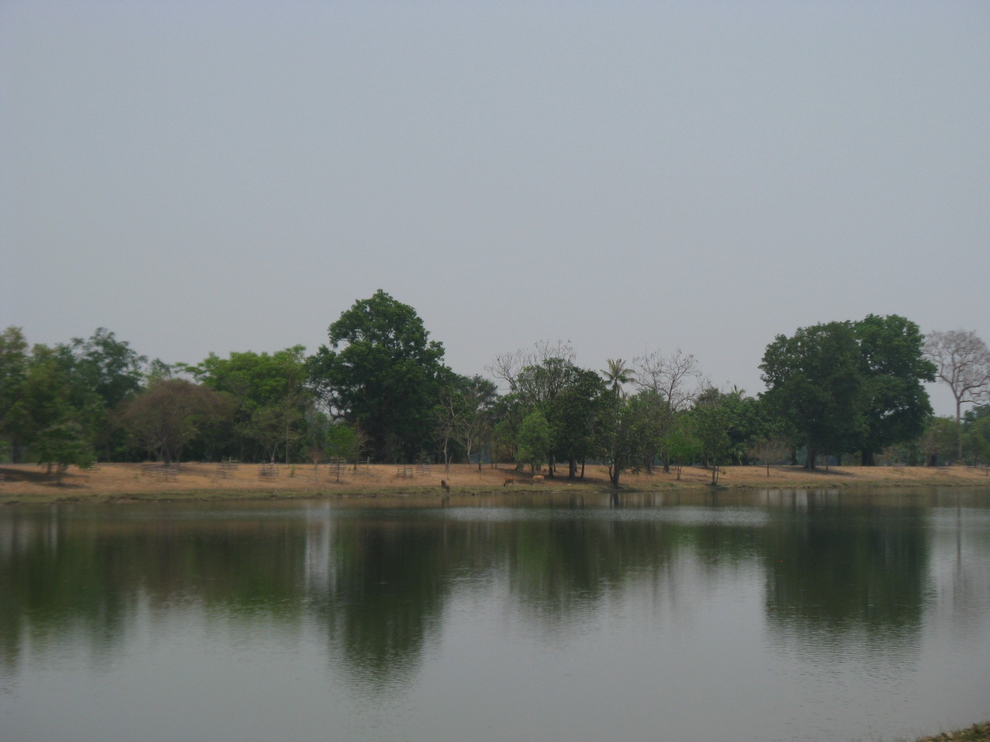 Laos