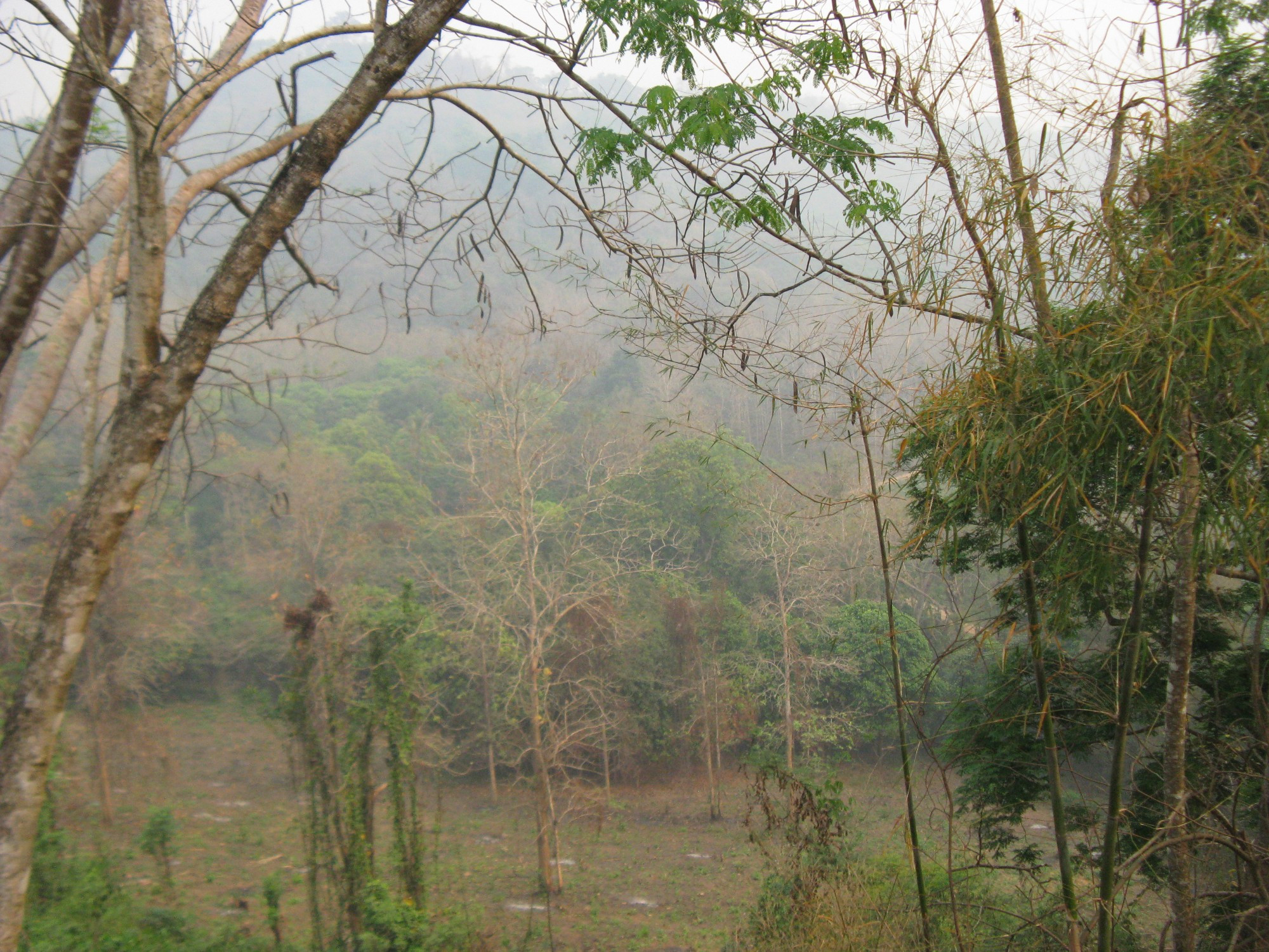 Laos