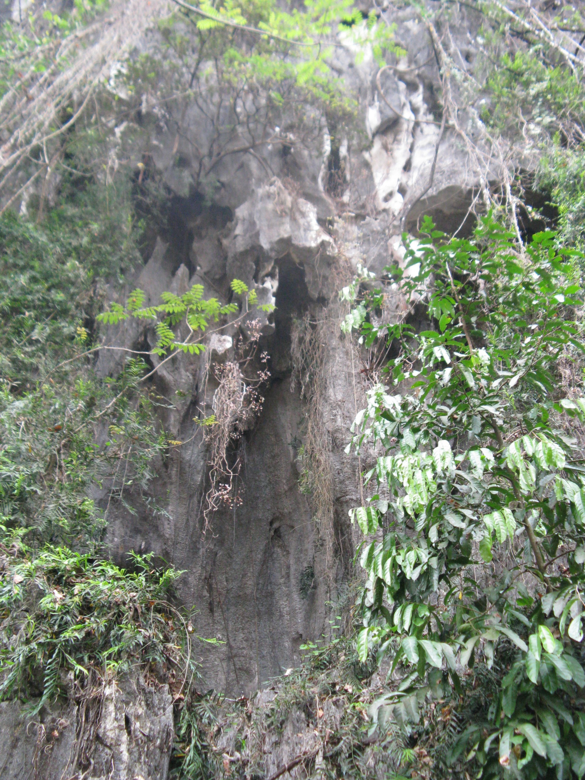 Laos