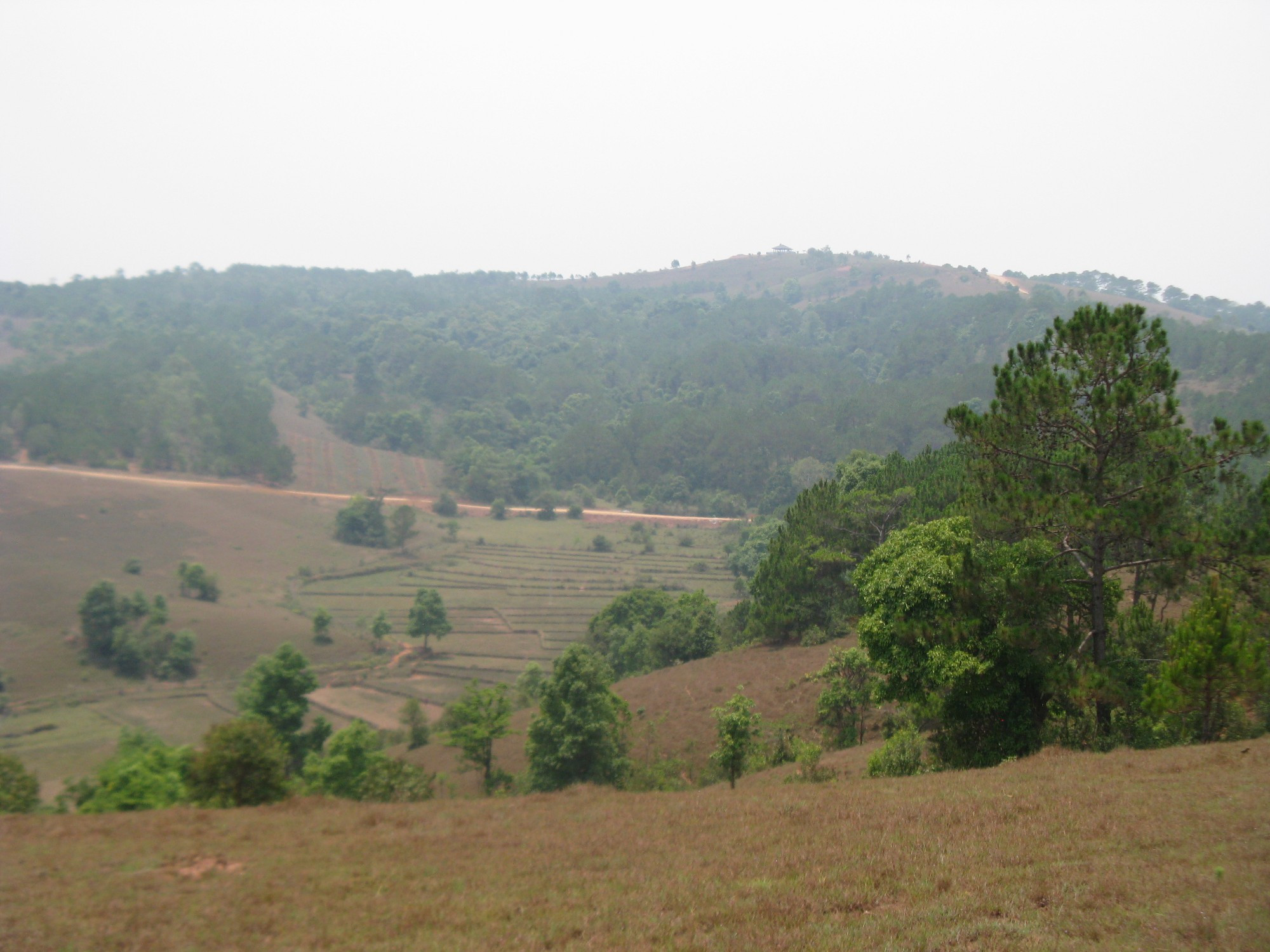 Laos