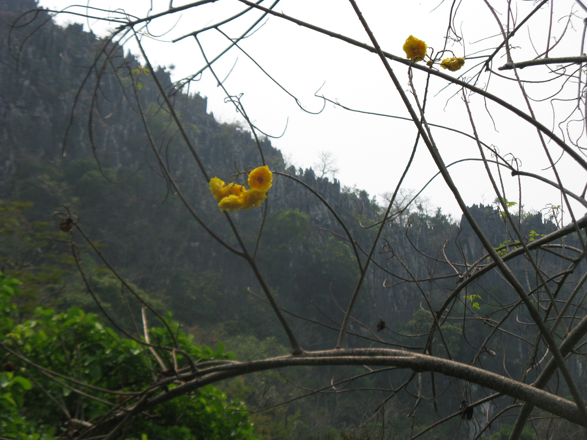 Laos