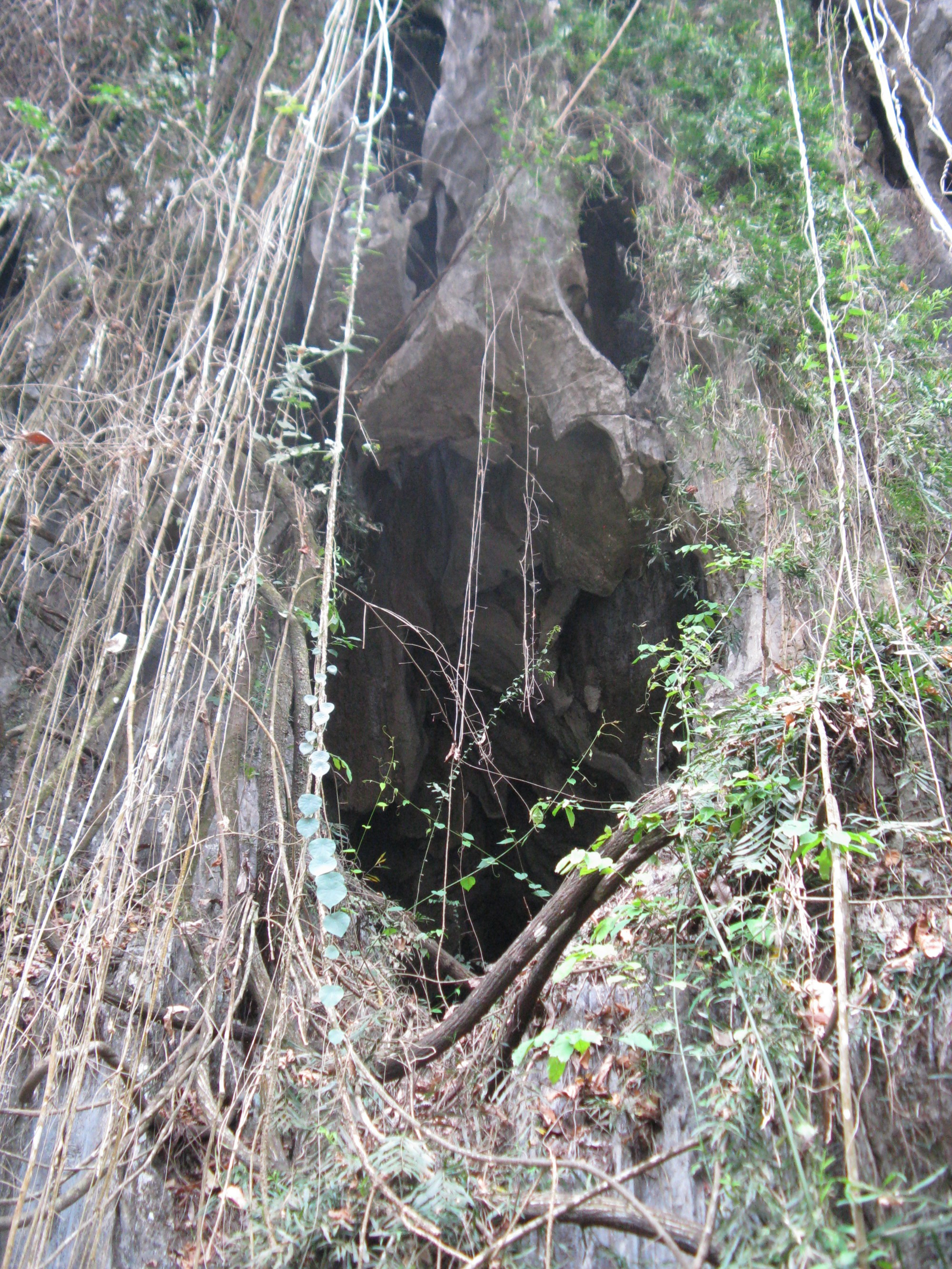 Laos