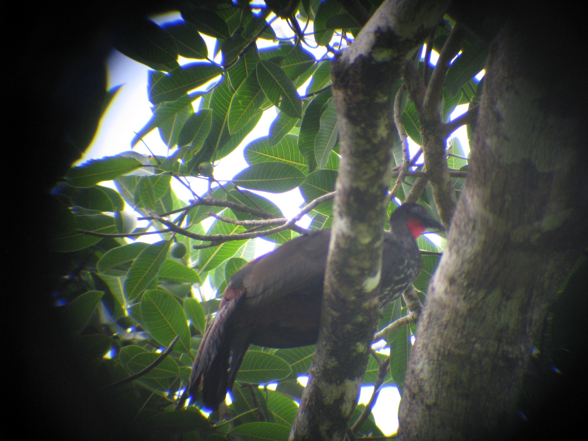 Costa Rica