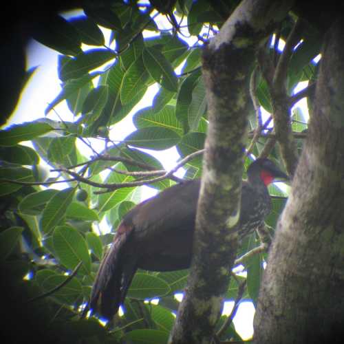 Costa Rica