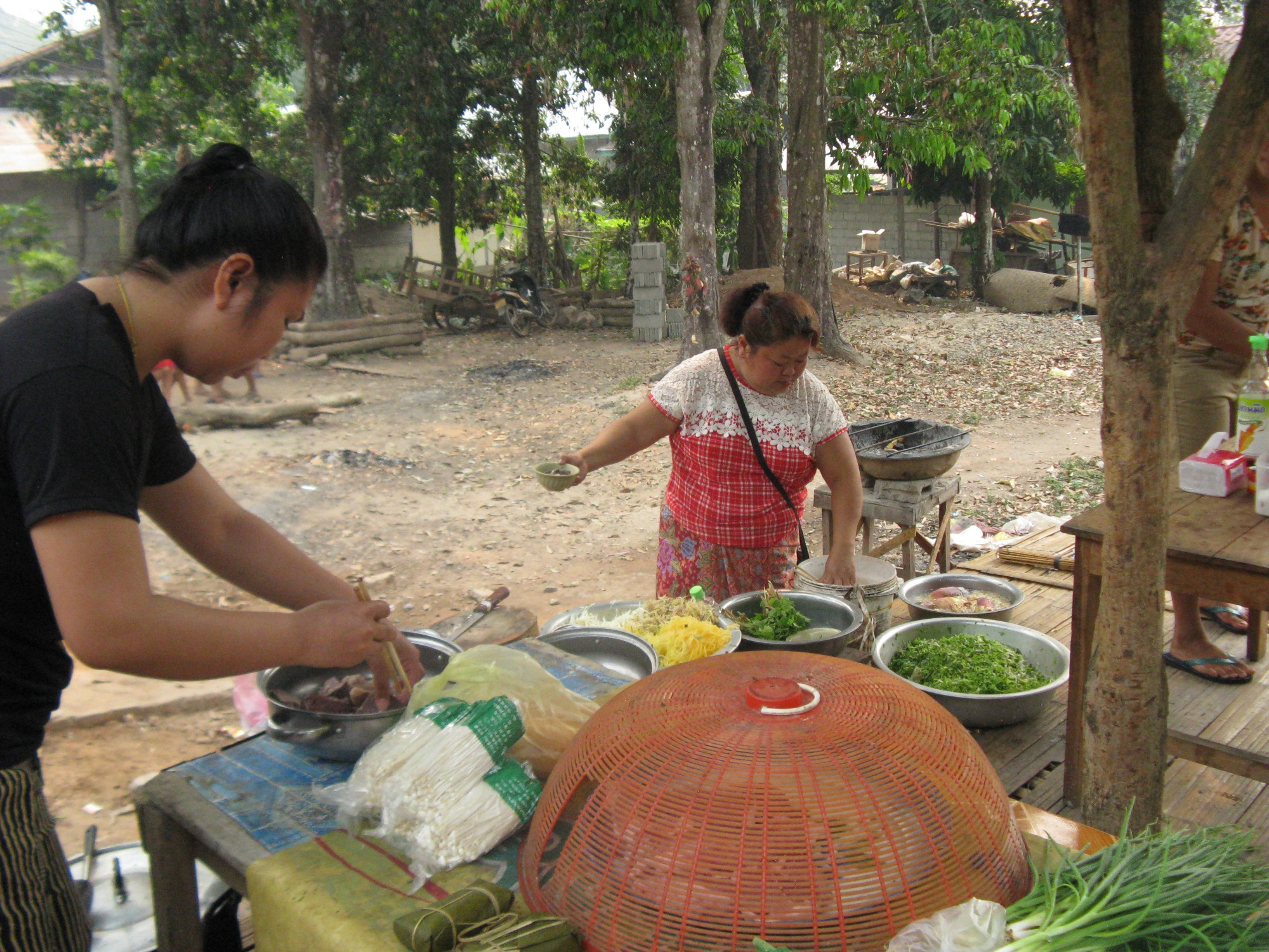 Laos