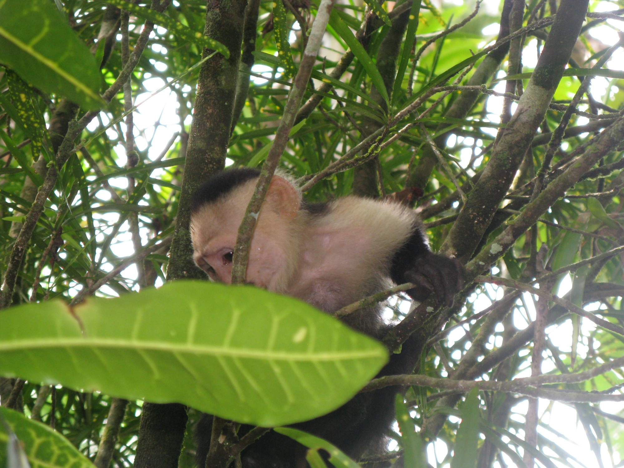 Costa Rica