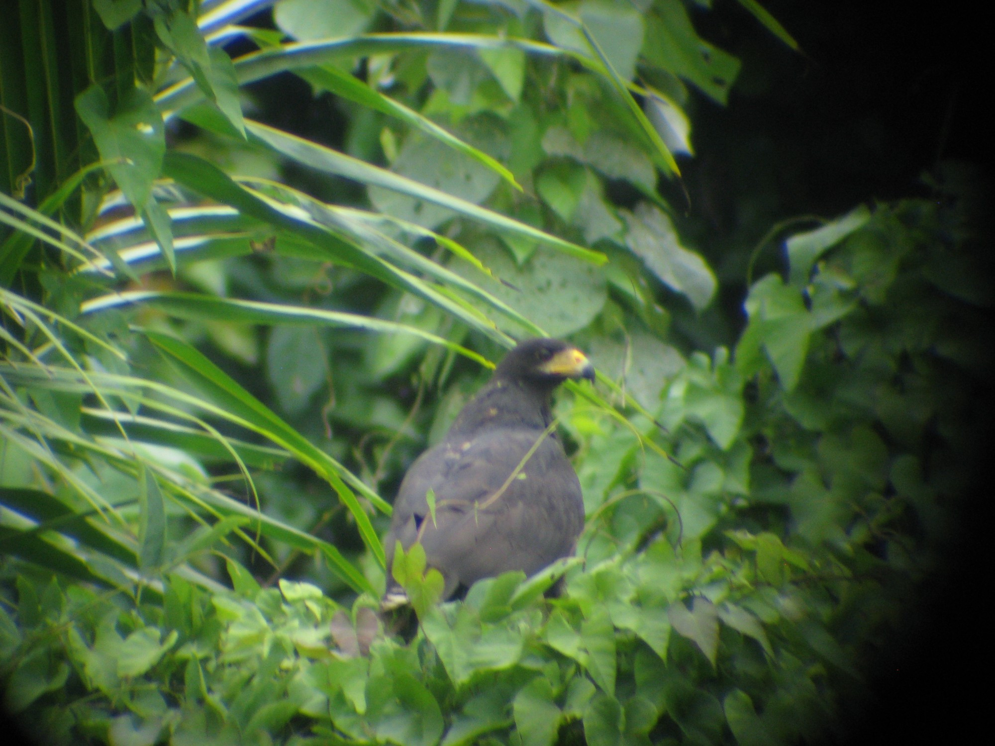 Costa Rica