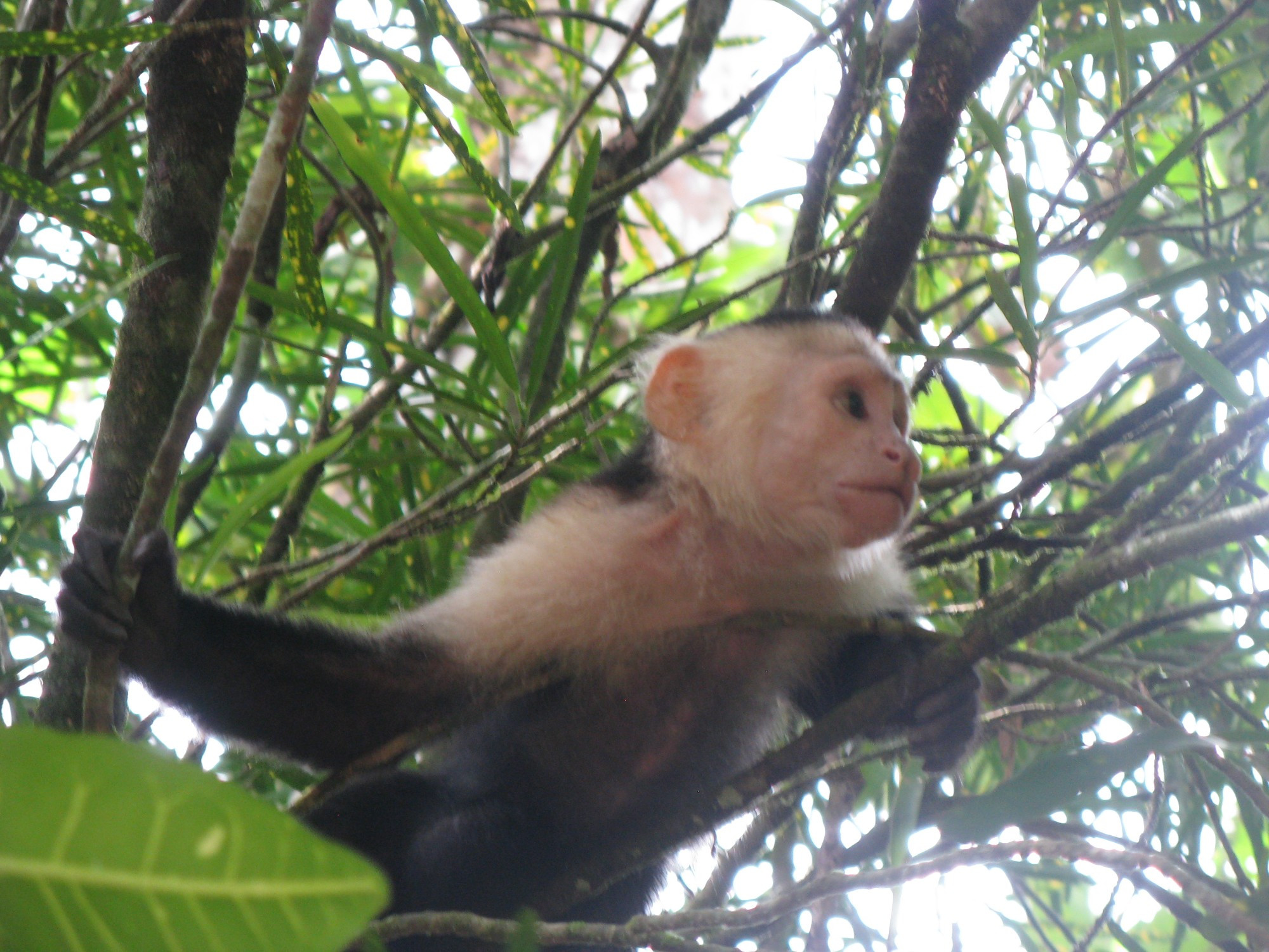 Costa Rica