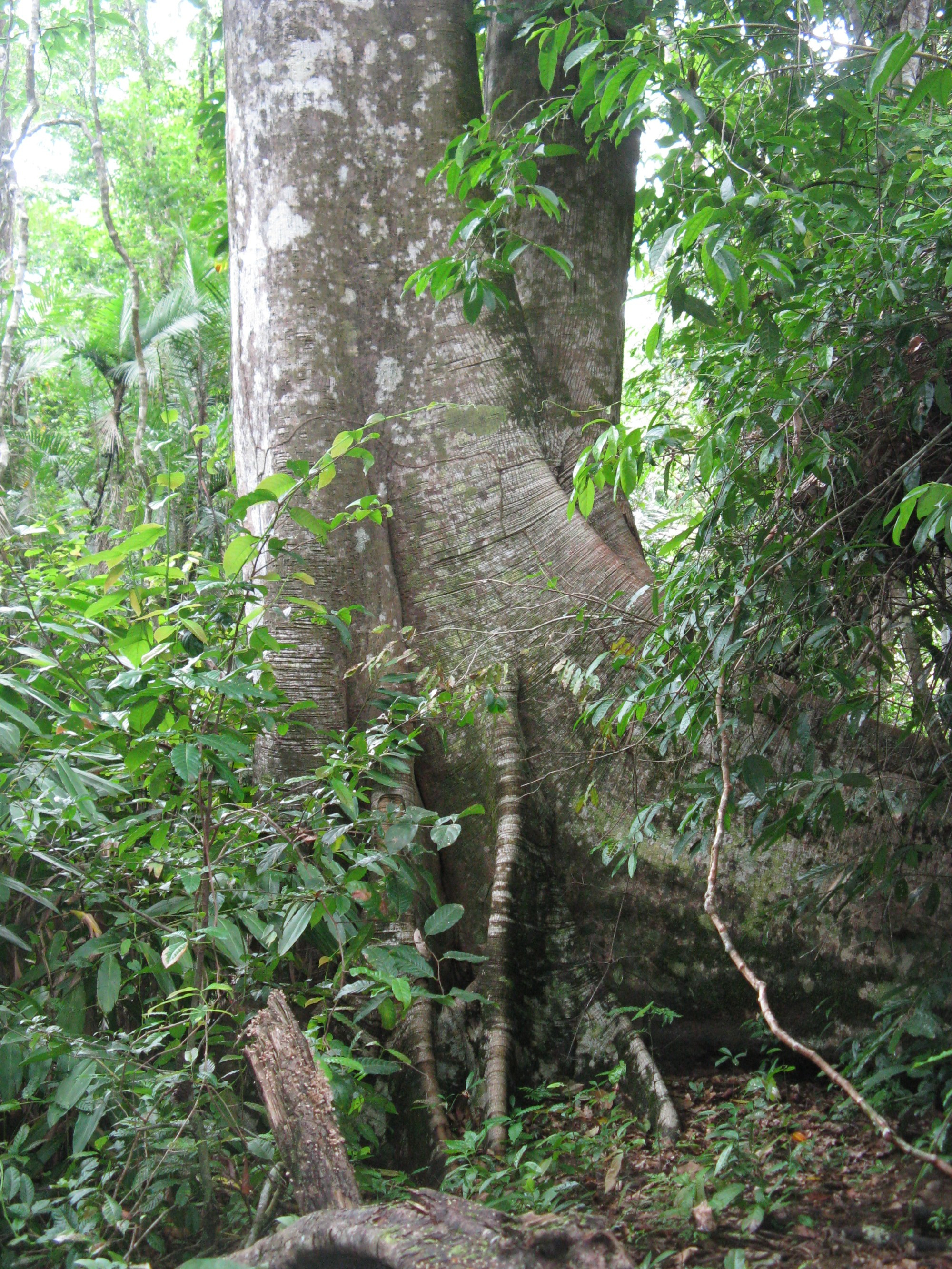 Costa Rica