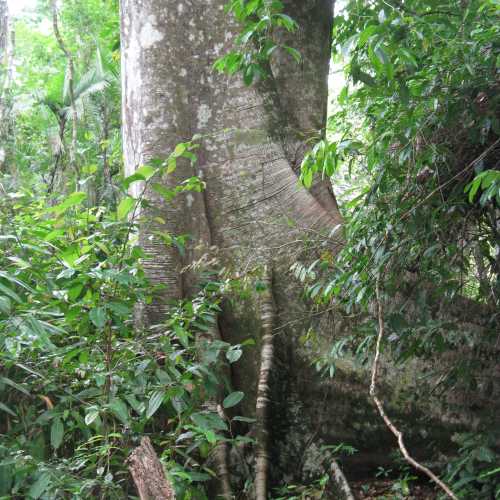 Costa Rica