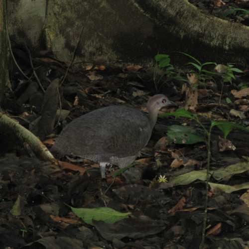 Costa Rica