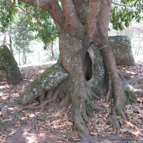 Laos