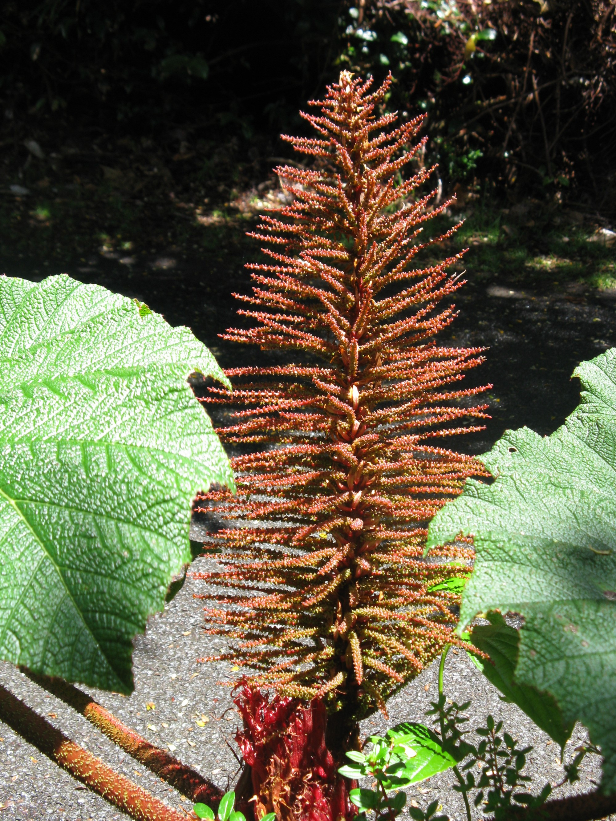 Costa Rica