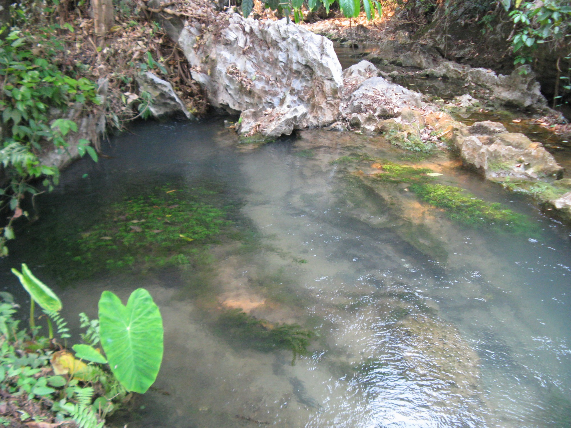 Laos