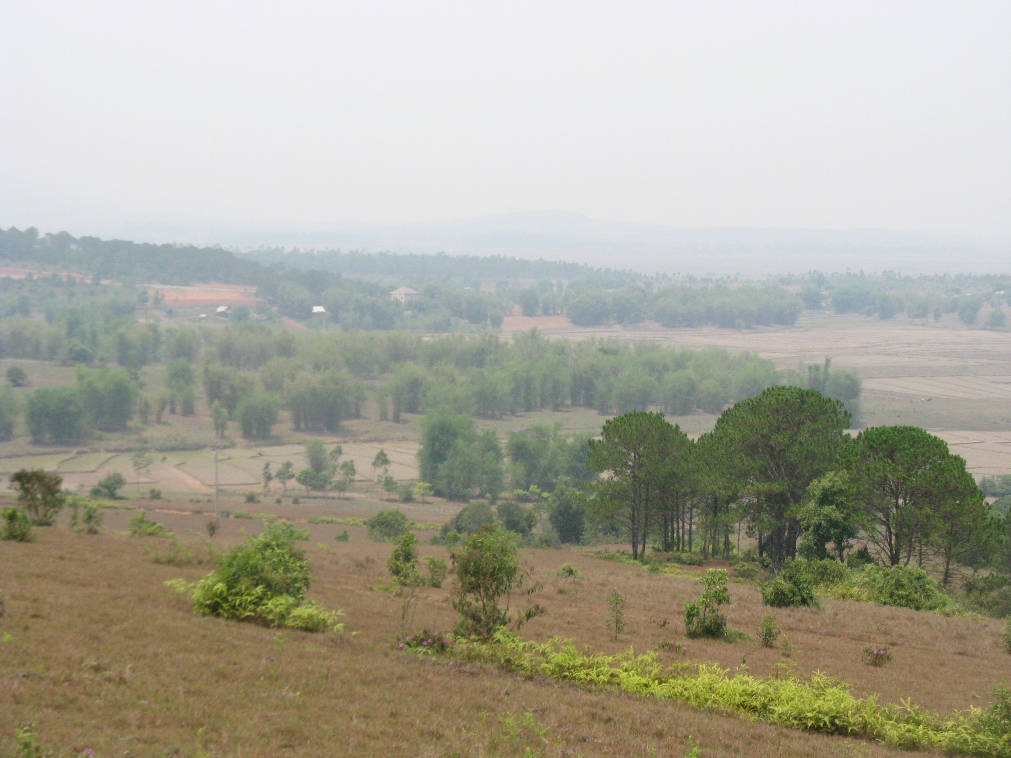 Laos