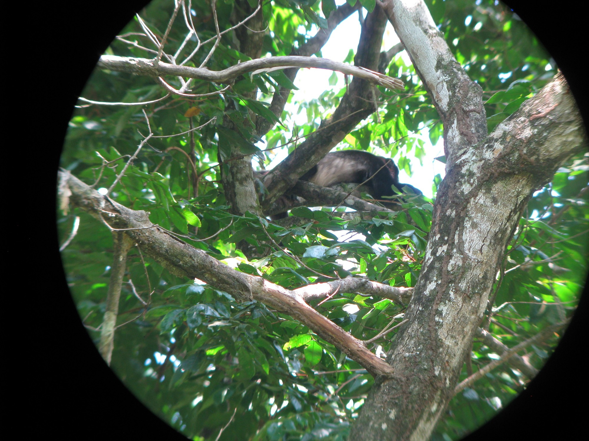 Costa Rica