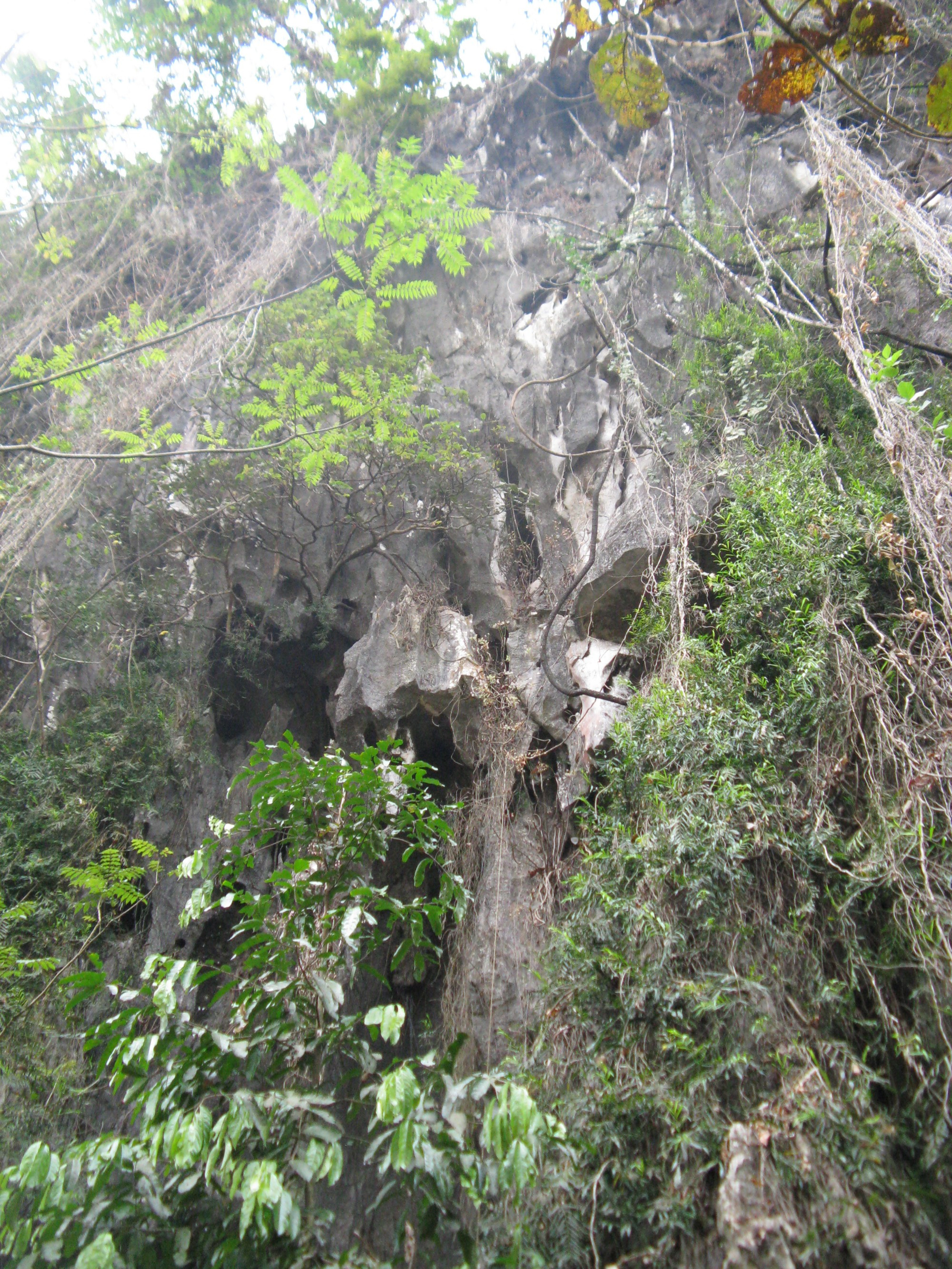 Laos