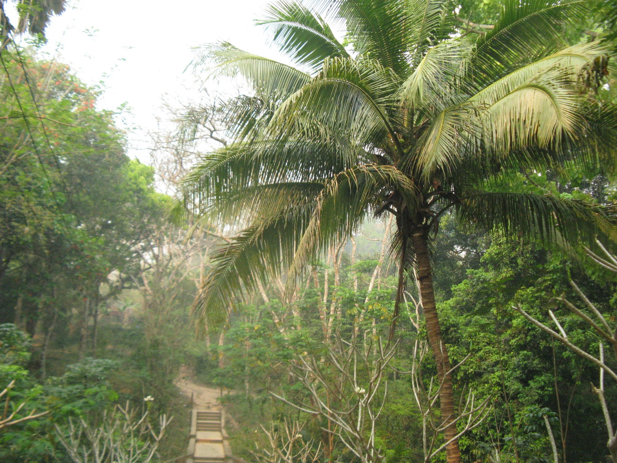 Laos